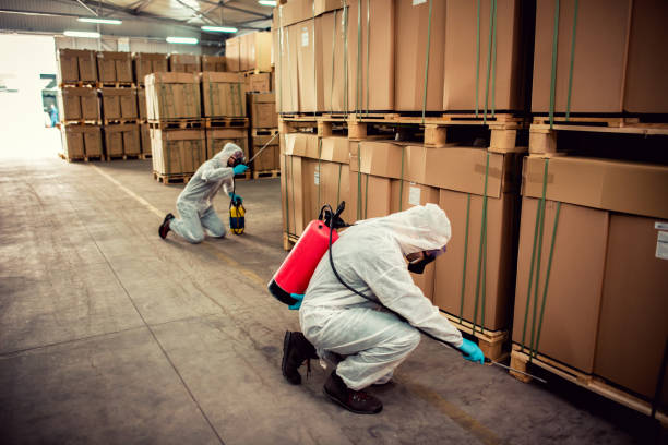 Best Termite Control Services  in Hydro, OK