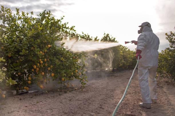 Best Bed Bug Extermination  in Hydro, OK