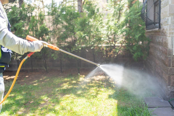 Best Insect Control  in Hydro, OK