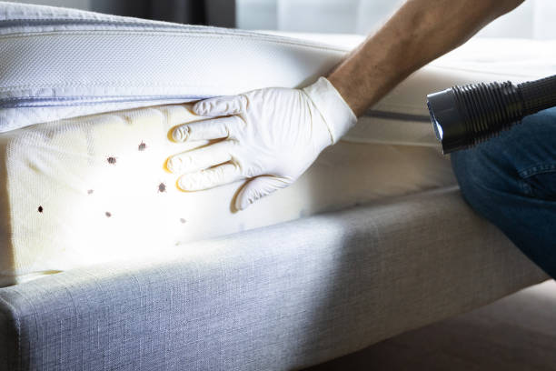 Best Best Pest Control Companies  in Hydro, OK