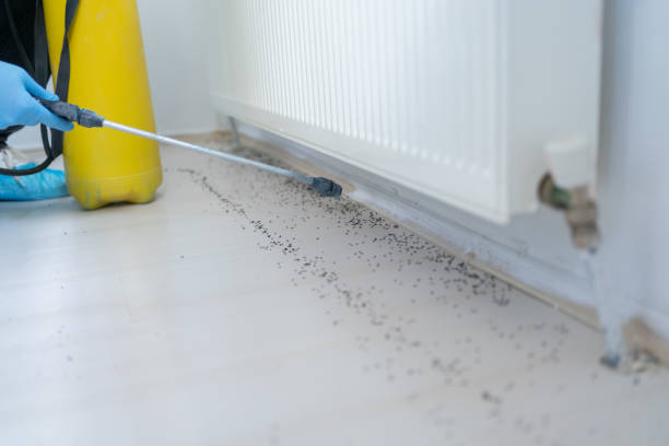 Best Pest Control for Homes  in Hydro, OK